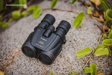 Canon Binocular 10x42 L IS