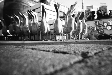 Lomography Simple Use Kamera Black and White ISO 400