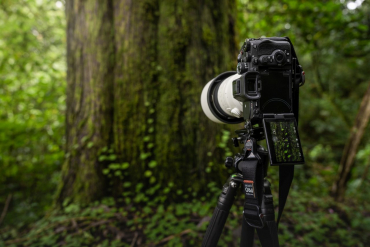 Sony Alpha ILCE-7R V + SEL 90mm f2.8 G