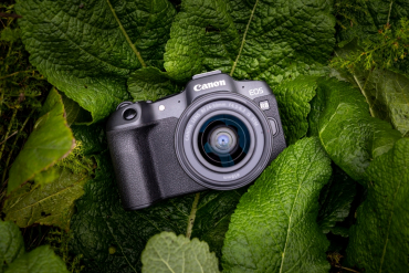 Canon EOS R8 + 24-50mm f4,5-6,3 IS STM B-Ware