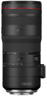 Canon EOS R1 + RF 70-200mm f2,8 L IS USM Z schwarz
