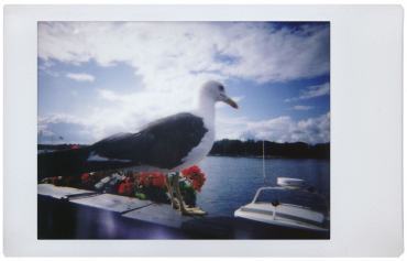 Lomography LomoInstant Mini Black