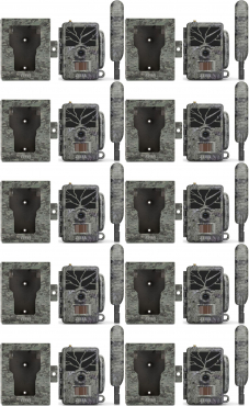 ZEISS Secacam 1 10er Pack + 10x Metallgehäuse