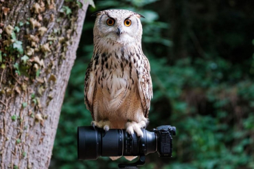 Fujifilm X-T5 silver + XF18-55mm f2.8-4 + Tamron 150-500 f5-6.7