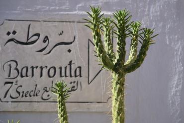 Tamron 28-75mm f2,8 Di III VXD G2 Nikon Z Retour client