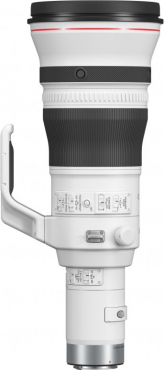 Canon EOS R3 + RF 800mm f5,6 L IS USM