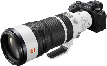Sony Alpha 7R VI + SEL FE 100-400mm f4.5 GM II OSS
