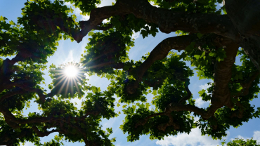 Sony ILME-FX30 + Sigma 28-45mm f1.8 DG DN (A)