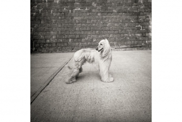 Lomography Berlin Cinéma B&W 120 ISO 400