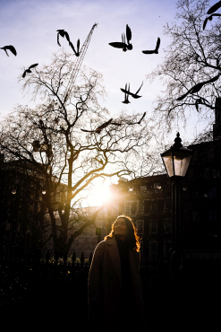 Nikon Z5 II + Nikkor Z 24-105mm f4-7,1