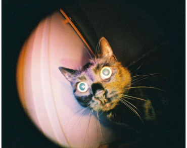 Lomography Fisheye Baby 110 metal black