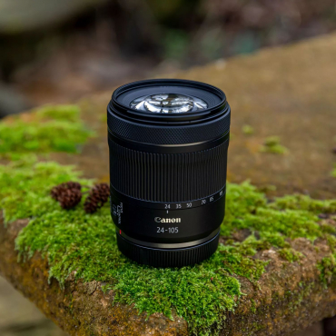 Canon EOS R7 + RF 24-105mm f4-7.1 IS STM + RF 16mm f2.8 STM