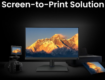 BenQ SW242Q 24 Fotografen-Monitor