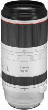 Canon EOS R6 III + 24-105mm f4 L IS USM + 100-500mm f4,5-7,1 L IS USM