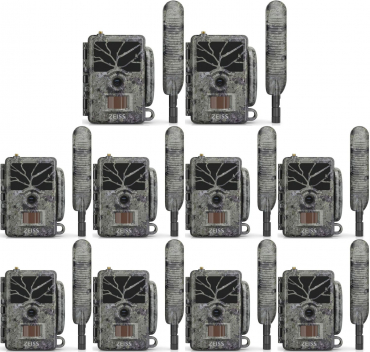 ZEISS Secacam 1 10er Pack