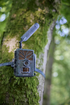 ZEISS Secacam 1 3er Pack + 3x Metallgehäuse