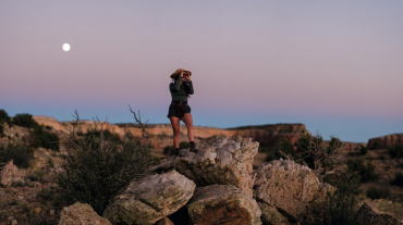 Swarovski CL Companion 8x30 Desert Orange