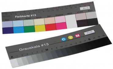 B.I.G. Step Gray Wedge and Color Chart