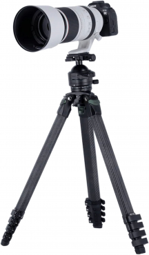 Rollei Lion Rock Pro Instinct