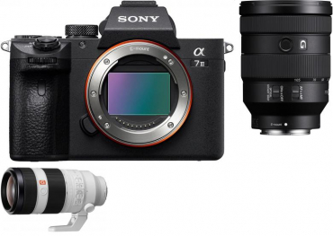 Sony Alpha ILCE-7 III (ILCE7M3) + SEL 24-105mm f4,0 + FE 100-400mm OSS