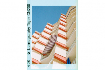 Lomography 110 Golden Gate & Flash + Color Tiger Film