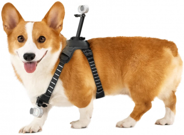 INSTA360 Pet Harness Mount Size M