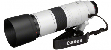 Canon EOS R6 II + RF 200-800mm f6,3-9 IS USM