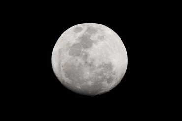Canon EOS R6 II + RF 200-800mm f6,3-9 IS USM