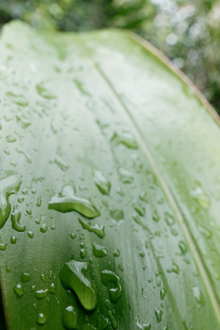 Samyang AF 16mm F2.8 P Sony FE