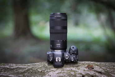 Canon EOS R6 II + RF 28-70mm f2,8 IS STM + 100-400mm f5,6-8 IS USM