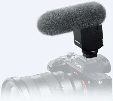 Sony Alpha ILCE-6600 + micro ECM-B1M + poignée GP-VPT2BT