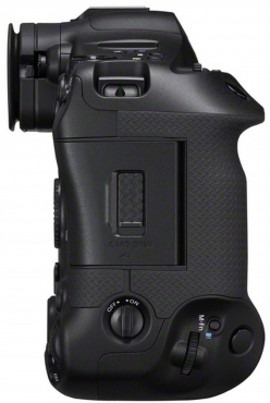 Canon EOS R1 + RF 70-200mm f2,8 L IS USM Z weiß