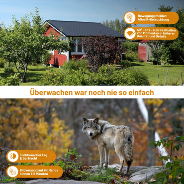 ICU CLOM Cam 6 pack de 4