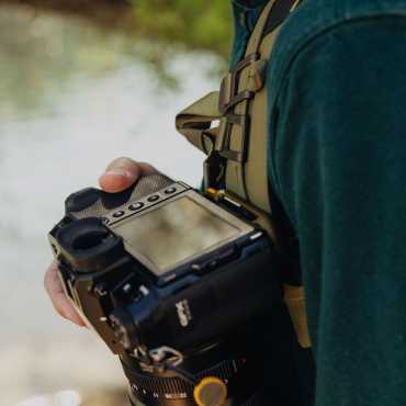 Peak Design Capture Clip v3 incl. Standard Plate Kelp