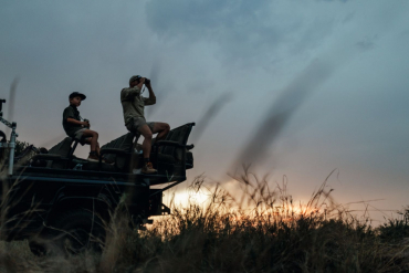 Swarovski CL Companion 8x30 Safari Brown