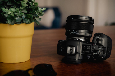 Canon EOS R1 + Voigtländer Nokton 50mm f1,0