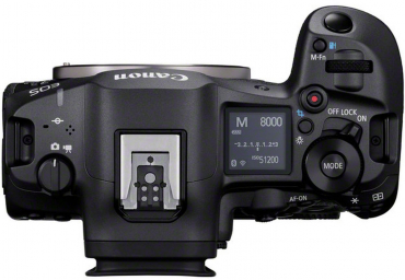 Canon EOS R5 II + RF 800mm f5.6 L IS USM