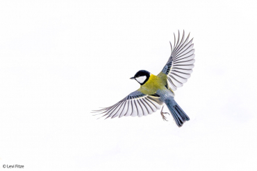 Sony SEL 400-800mm f6,3-8 G OSS