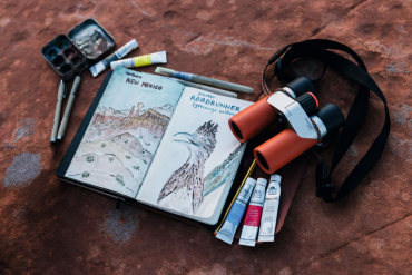 Swarovski CL Companion 8x30 Desert Orange