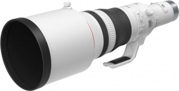 Canon EOS R5 II + RF 800mm f5.6 L IS USM