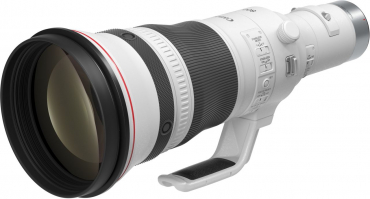 Canon EOS R5 II + RF 800mm f5.6 L IS USM