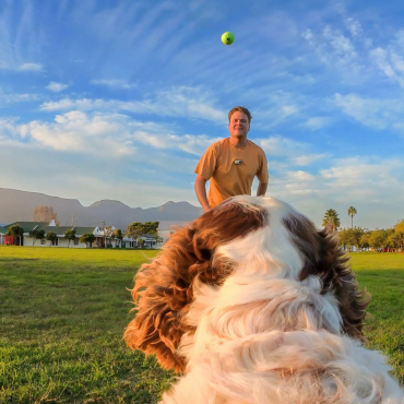 INSTA360 Pet Harness Mount Size M