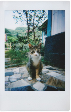 Lomography LomoInstant Mini & Lenses Milano