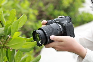 Canon RF 16-28mm f2.8 IS STM + RF 28-70mm f2.8