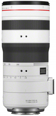 Canon EOS R6 V + RF 70-200mm f2,8 L IS USM weiß