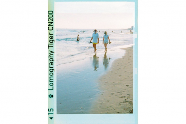 Lomography 110 Golden Gate & Flash + Color Tiger Film