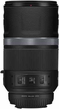 Canon EOS R5 II + RF 600mm f11 IS STM