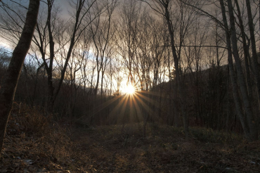 Fujifilm X-E5 Black + Sigma 16-300mm f3.5-6.7 DC OS (C)