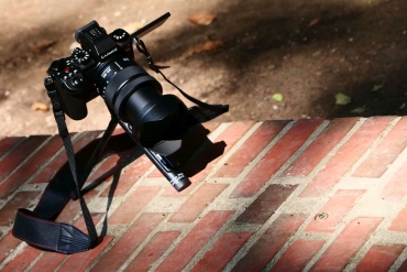 Panasonic Lumix DC-S5 + S Pro 24-70mm f2.8 + S Pro 70-200mm f2.8 O.I.S