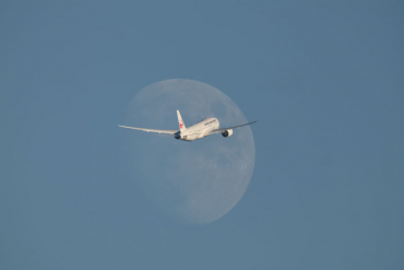 Canon EOS R5 II + RF 800mm f5.6 L IS USM